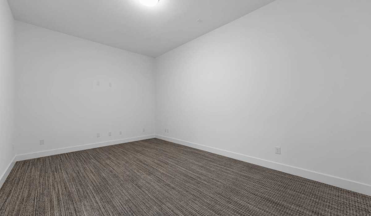 Entertainment Room