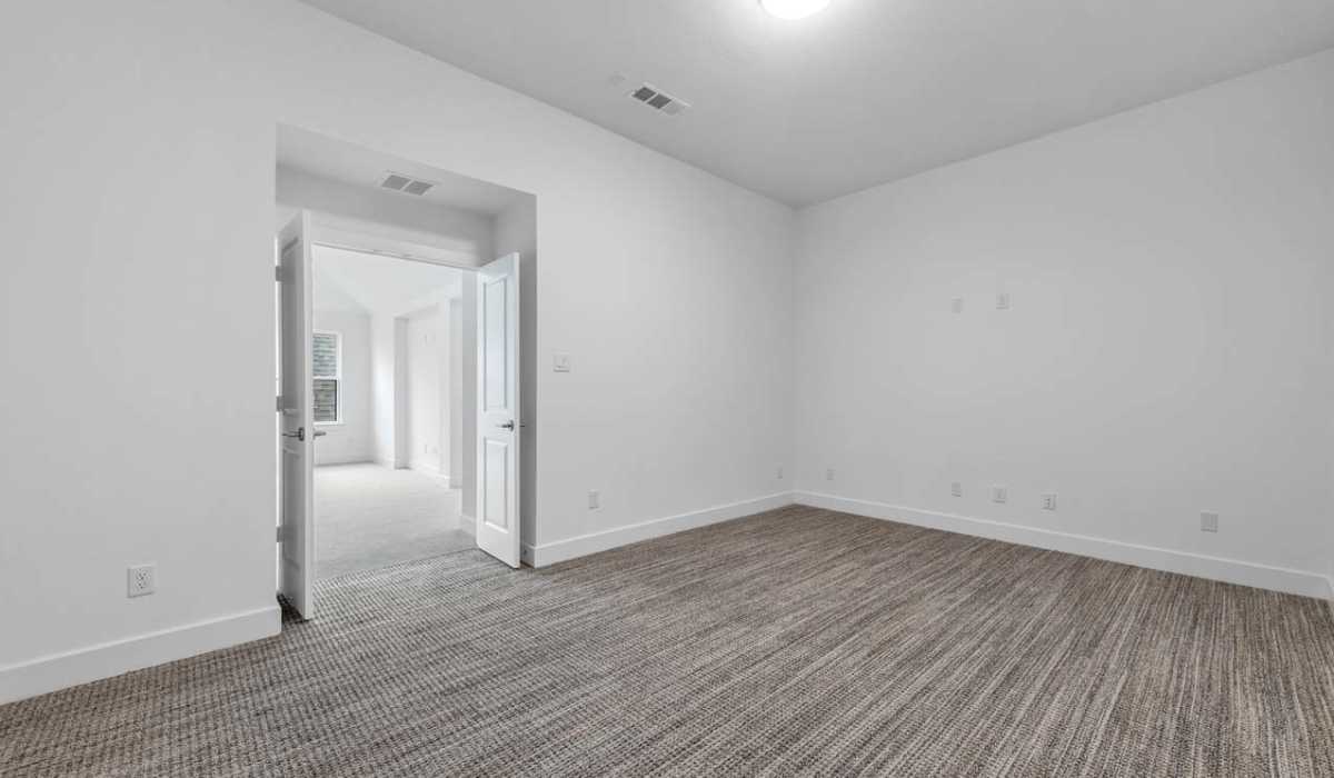 Entertainment Room