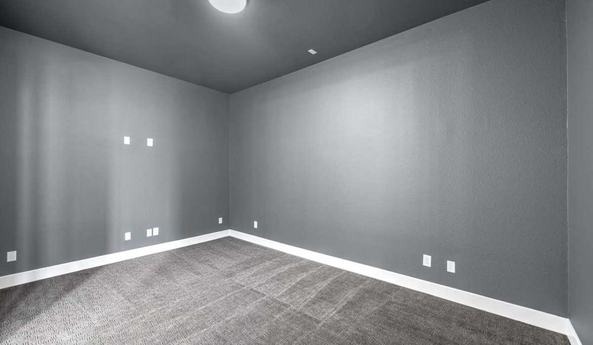 Entertainment Room