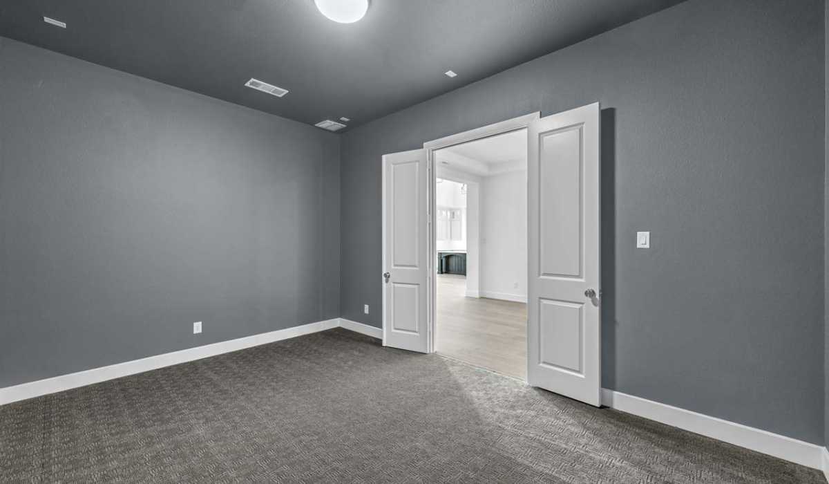 Entertainment Room