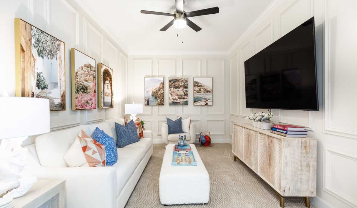 Entertainment Room