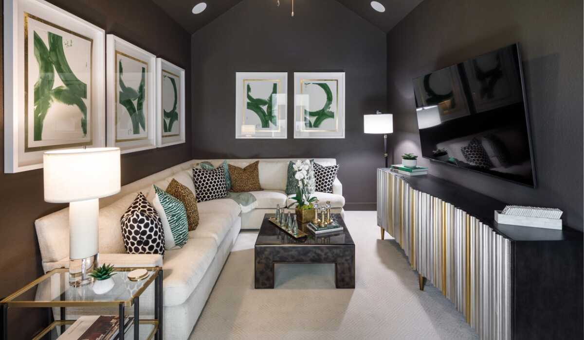 Entertainment Room