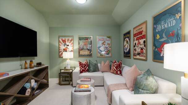 Entertainment Room