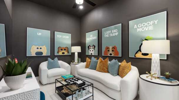 Entertainment Room