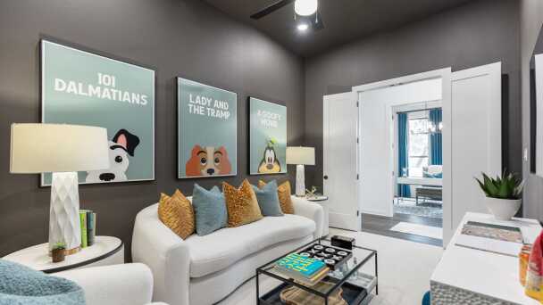 Entertainment Room