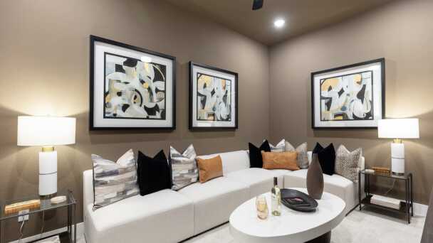 Entertainment Room