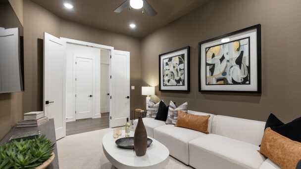 Entertainment Room