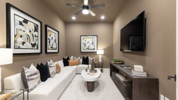 Entertainment Room