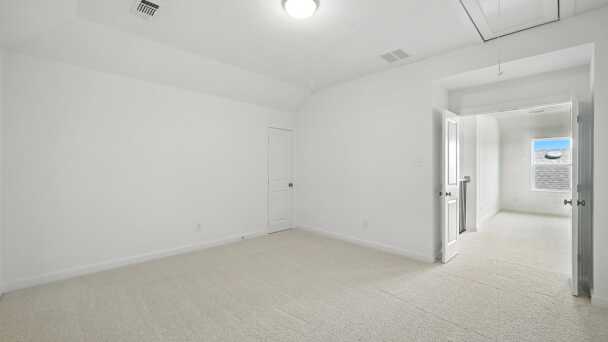 Entertainment Room