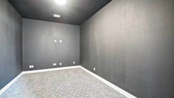 Entertainment Room