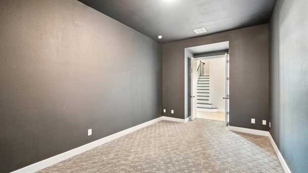 Entertainment Room