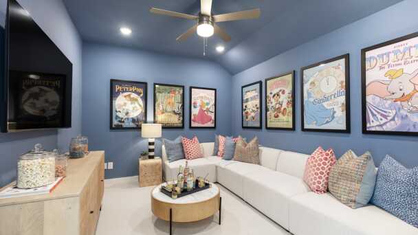 Entertainment Room