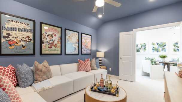 Entertainment Room