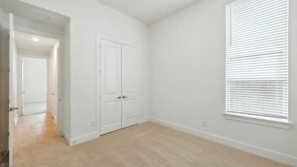 Entertainment Room