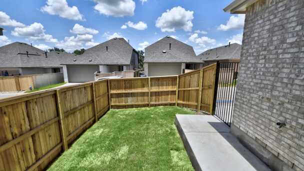 Backyard