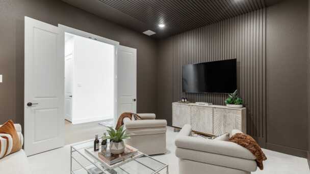 Entertainment Room