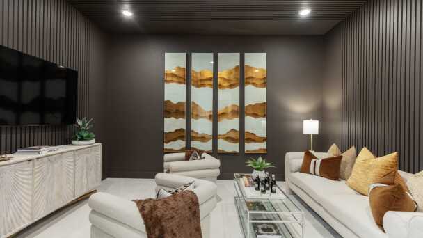 Entertainment Room