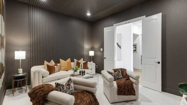 Entertainment Room