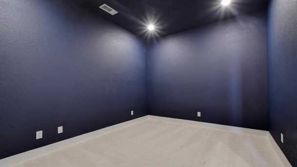 Entertainment Room