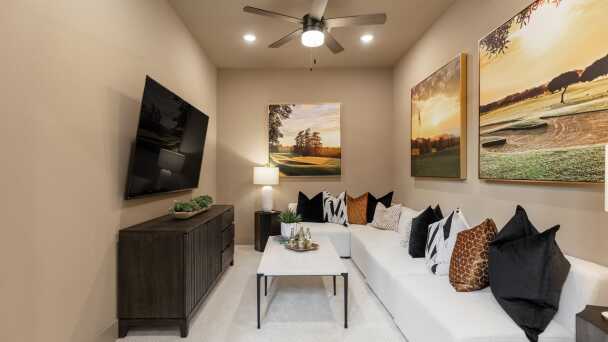 Entertainment Room