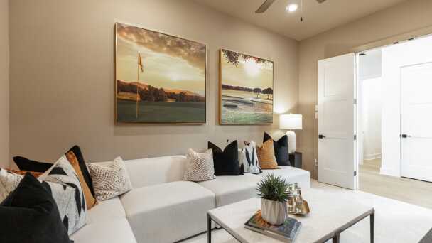 Entertainment Room