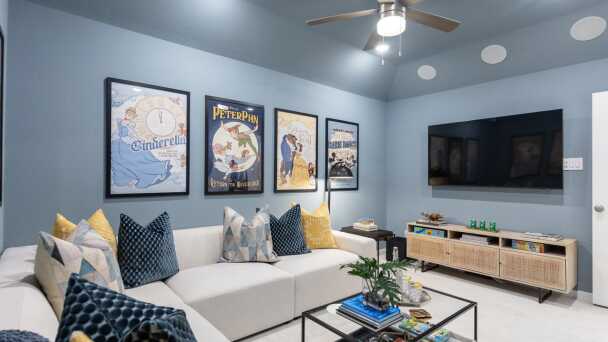 Entertainment Room