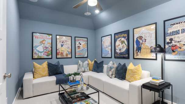 Entertainment Room