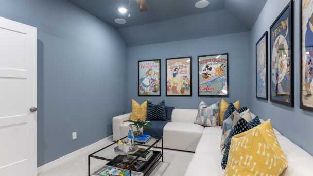 Entertainment Room
