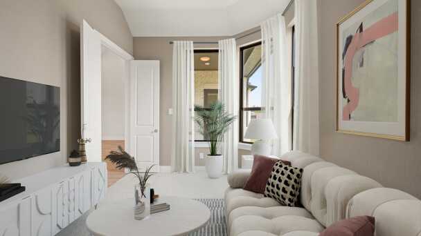 Entertainment Room