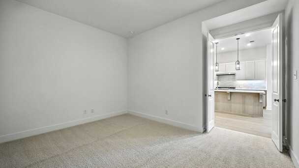 Entertainment Room