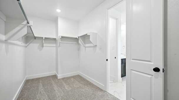 Primary Closet