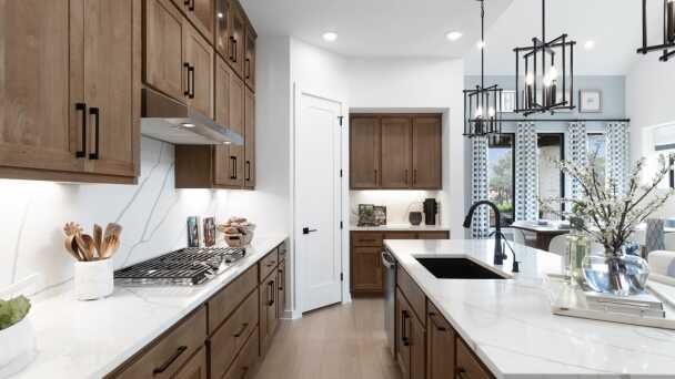 Representative Kitchen - some options shown <span data-tooltip tabindex=