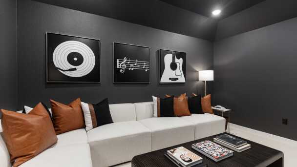 Entertainment Room