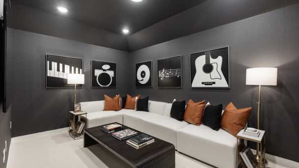Entertainment Room