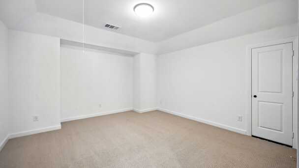 Entertainment Room