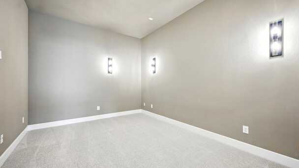 Entertainment Room