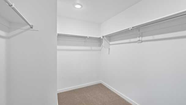 Primary Closet