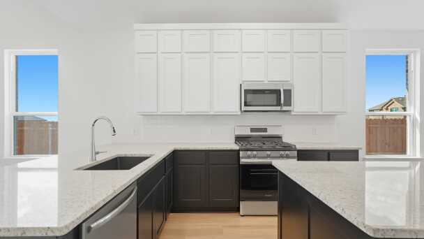 Representative Kitchen - some options shown <span data-tooltip tabindex=