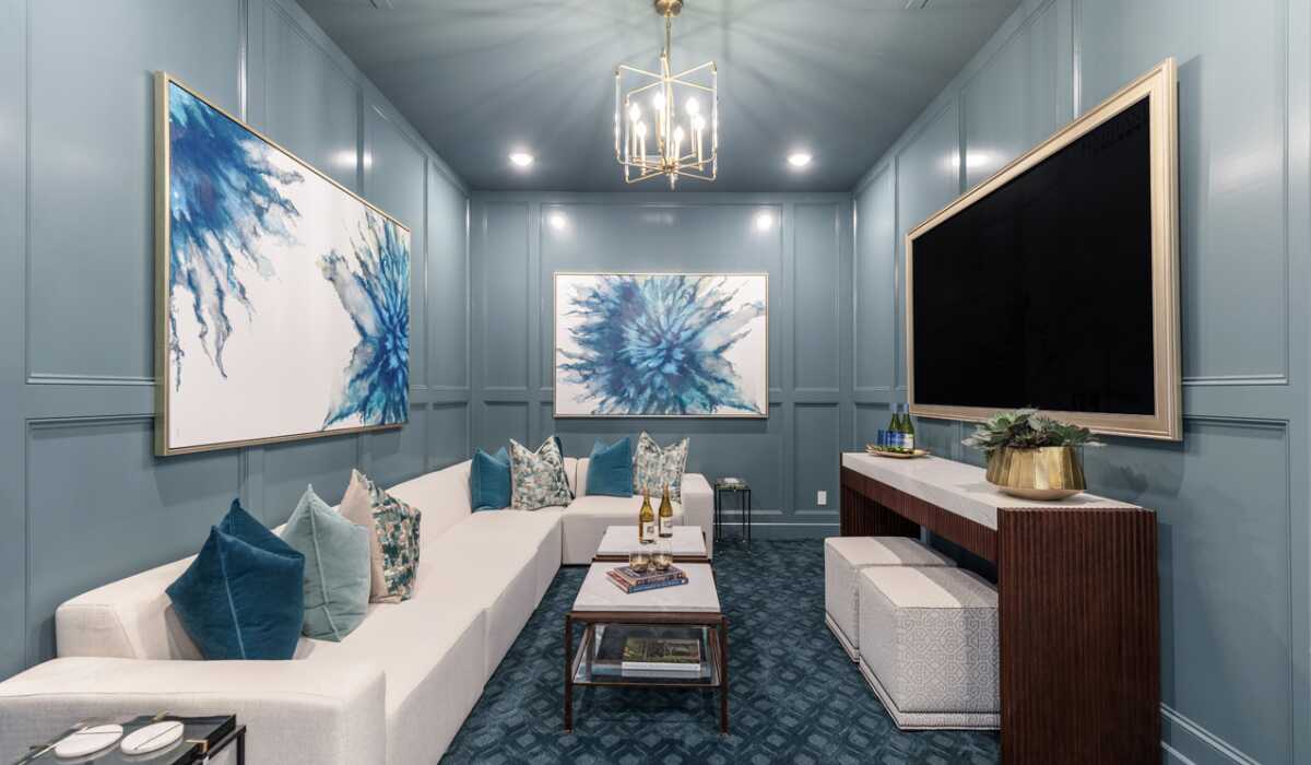 Entertainment Room