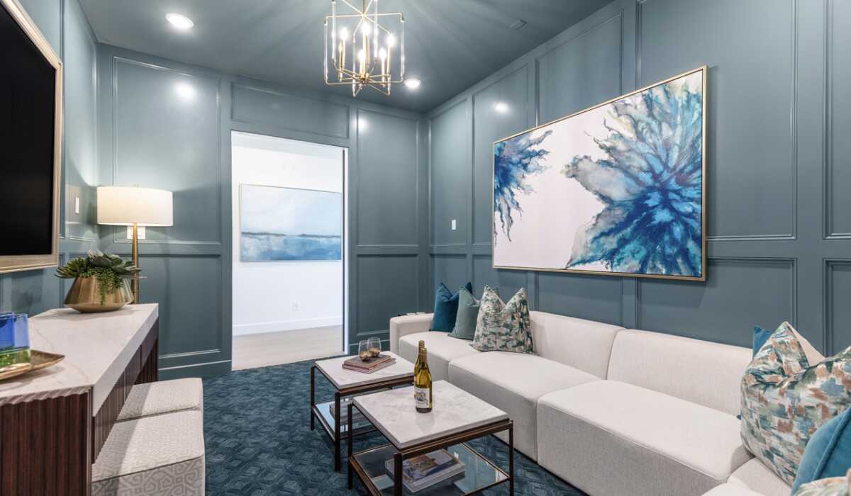 Entertainment Room