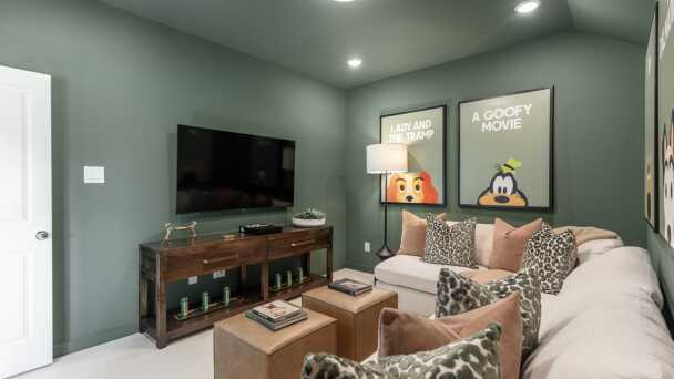 Entertainment Room