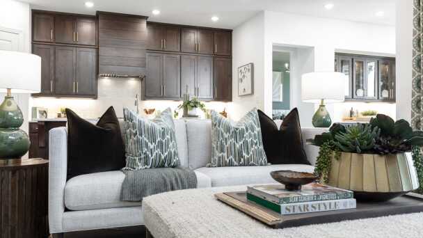 Representative Family Room - some options shown <span data-tooltip tabindex=