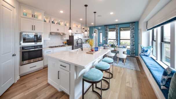 Representative Kitchen - some options shown <span data-tooltip tabindex=