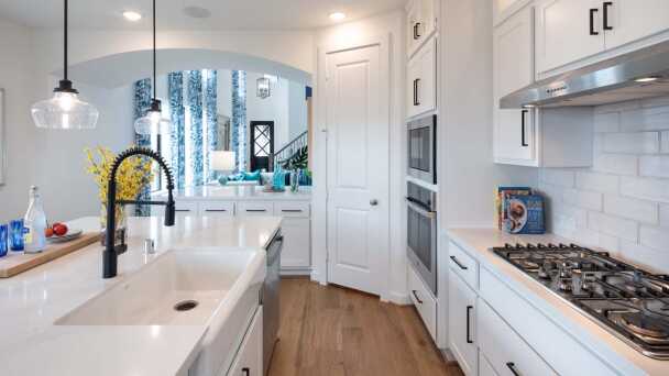 Representative Kitchen - some options shown <span data-tooltip tabindex=