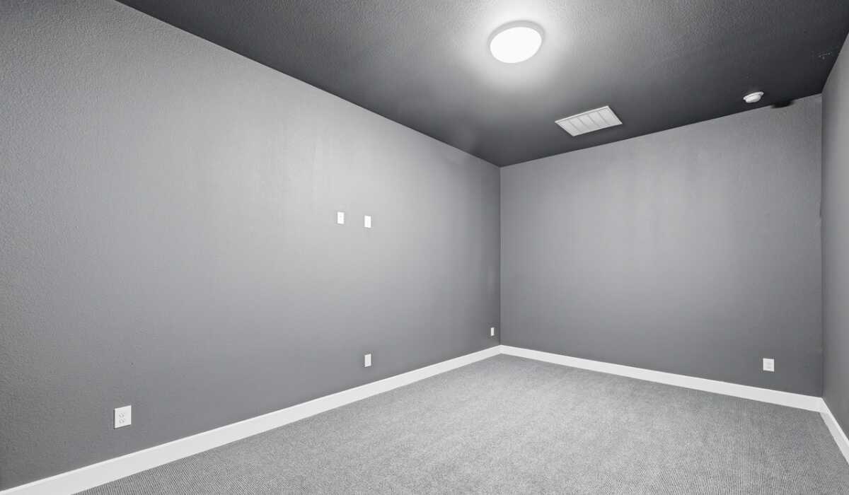 Entertainment Room