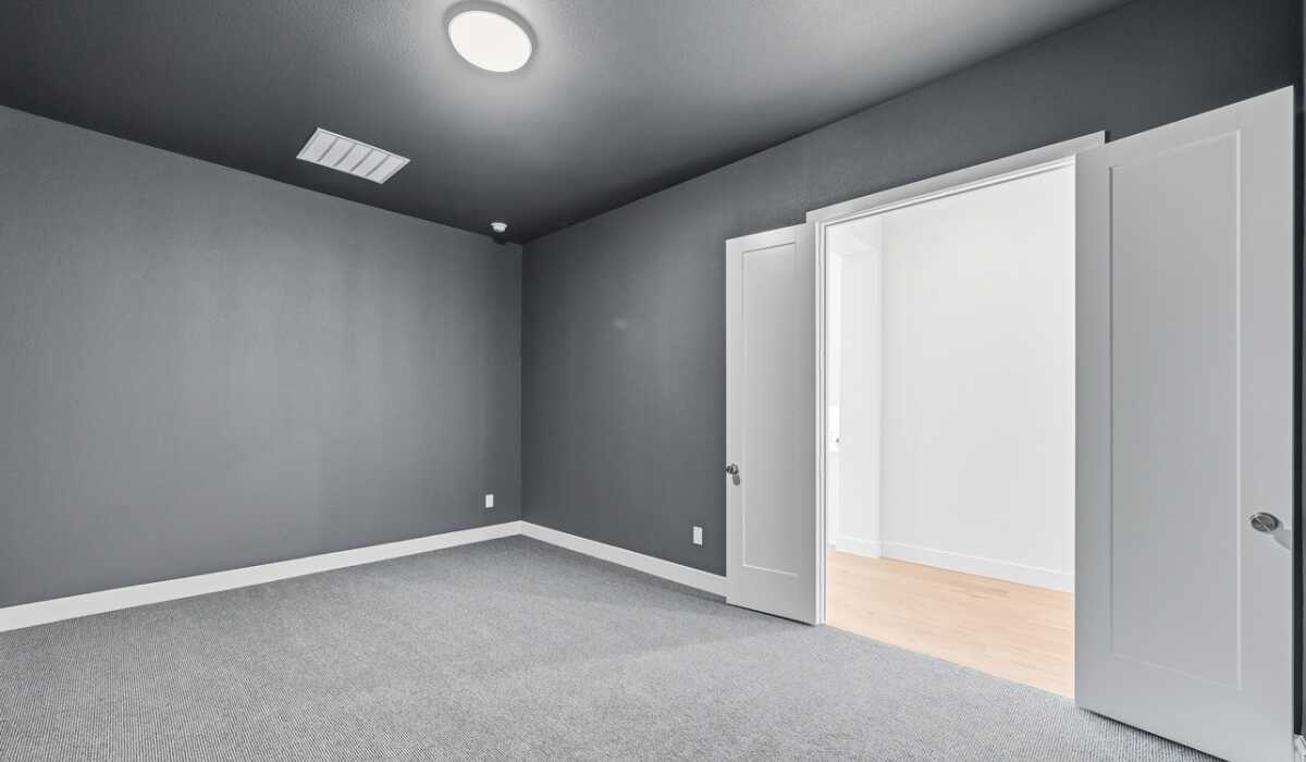 Entertainment Room