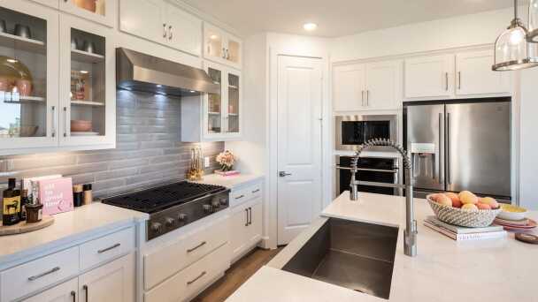 Representative Kitchen - some options shown <span data-tooltip tabindex=