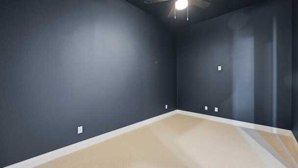 Entertainment Room