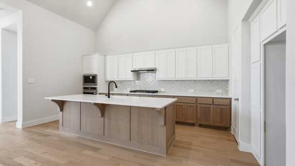 Representative Kitchen - some options shown <span data-tooltip tabindex=