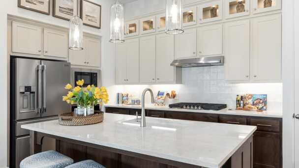 Representative Kitchen - some options shown <span data-tooltip tabindex=